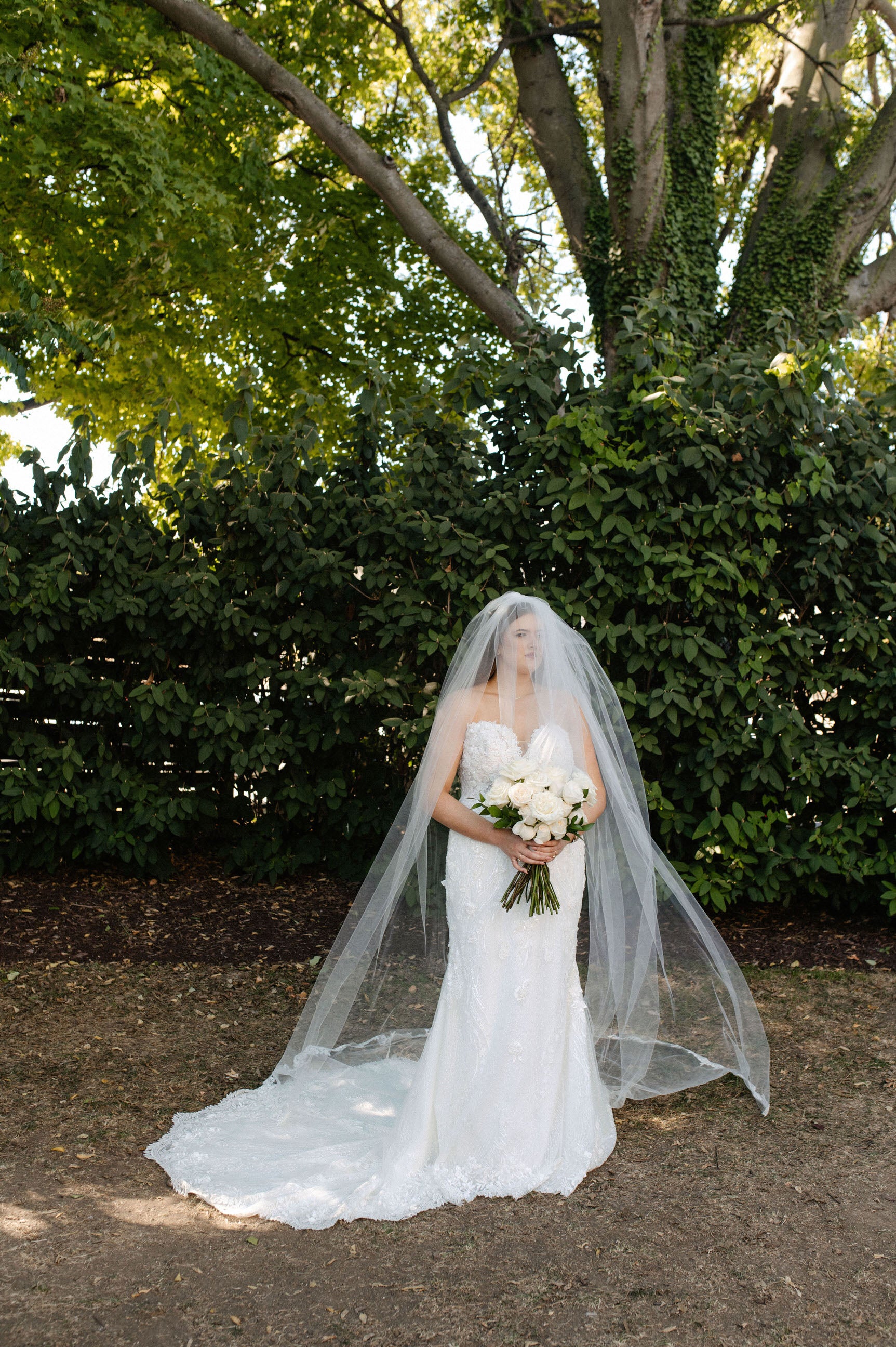Sheer Drop Bridal Veil With Long Blusher, No Comb cathedral Veil