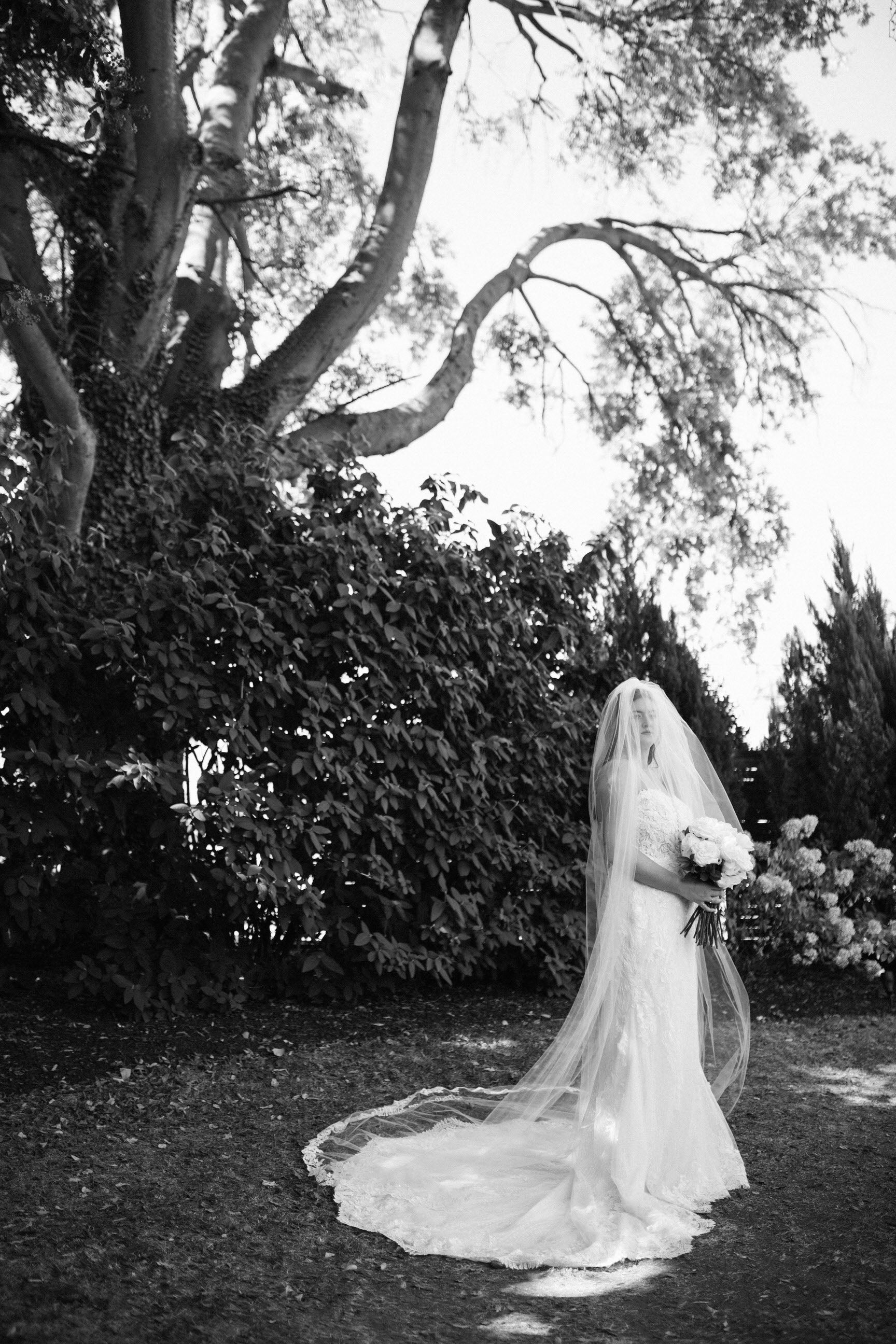 One Blushing Bride Lace Waltz Length Wedding Veil, White / Off White / Ivory Bridal Veil Light Ivory / Waltz 45-48 inch / No Beading