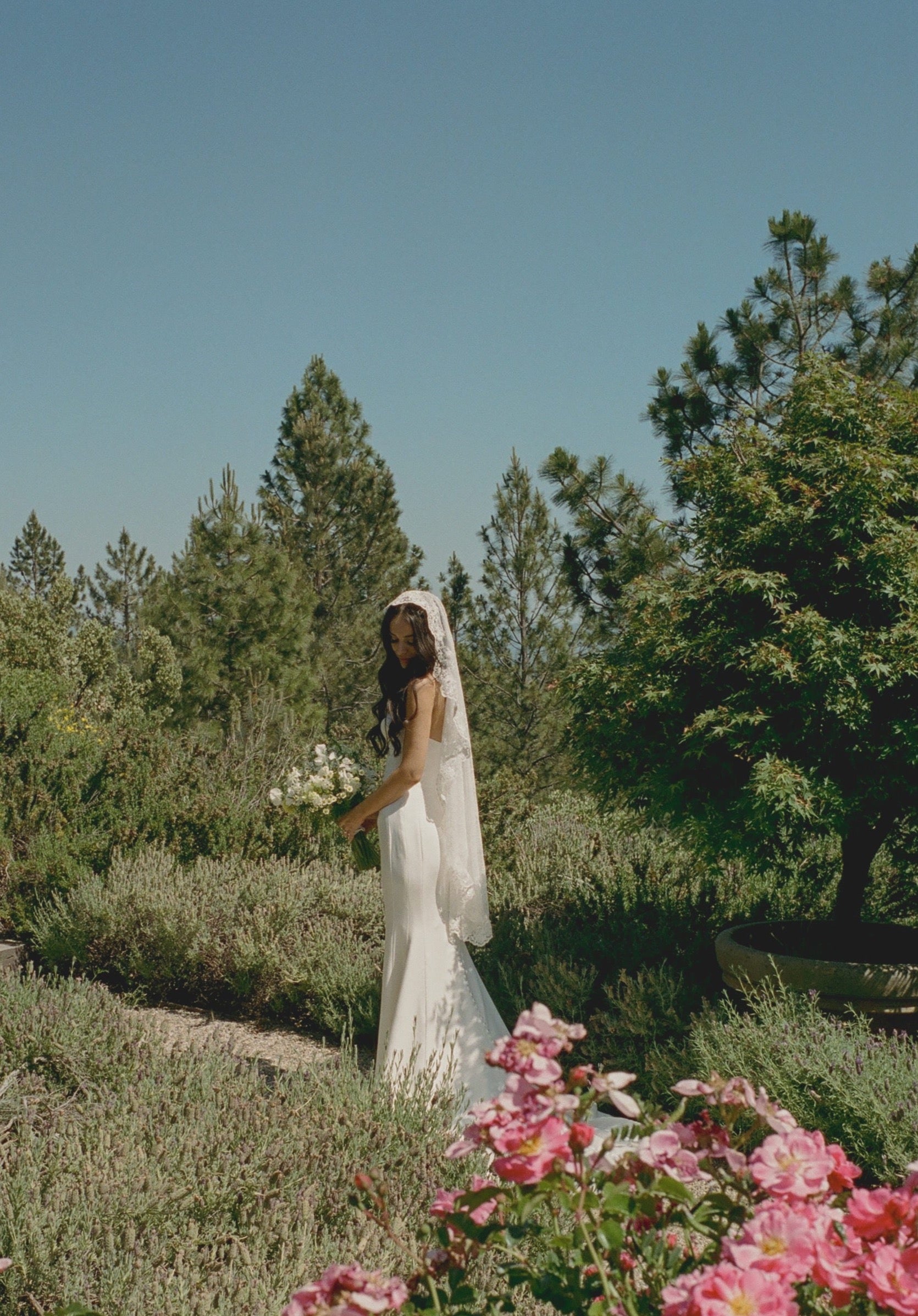 Pink Knee Length Veil