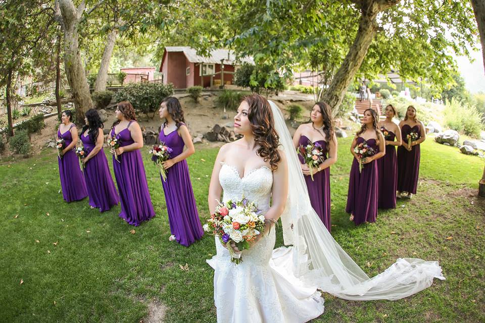 Purple Wedding Veil