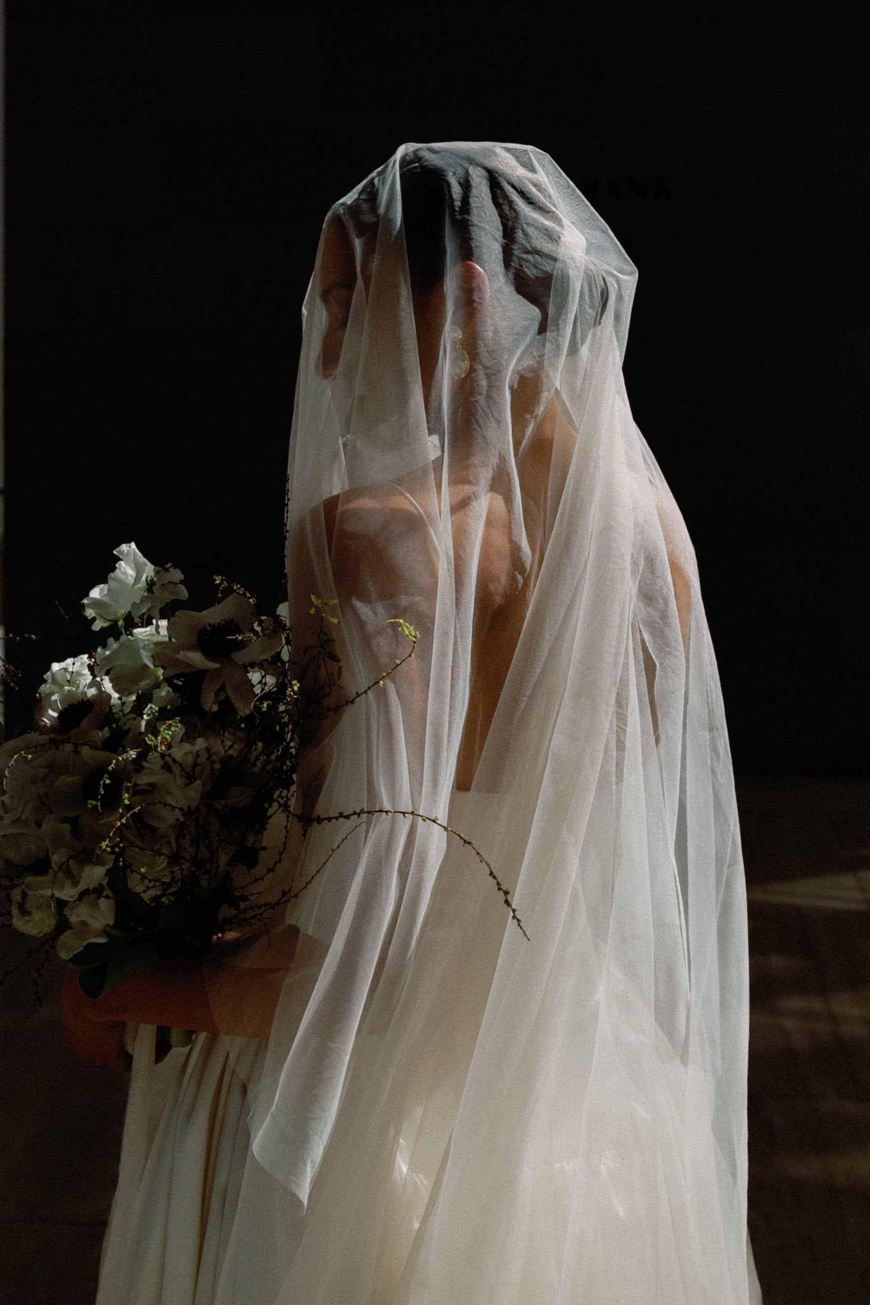 Sheer Drop Bridal Veil With Waist Length Blusher, No Comb