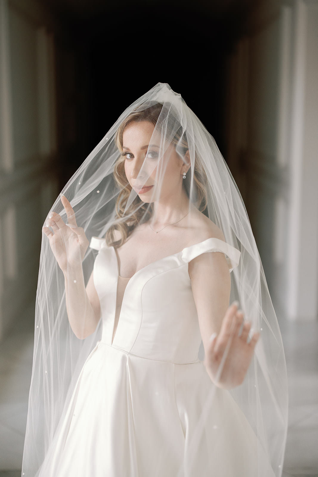 One Blushing Bride Crystal Trimmed Cathedral Length Wedding Veil Glimmer